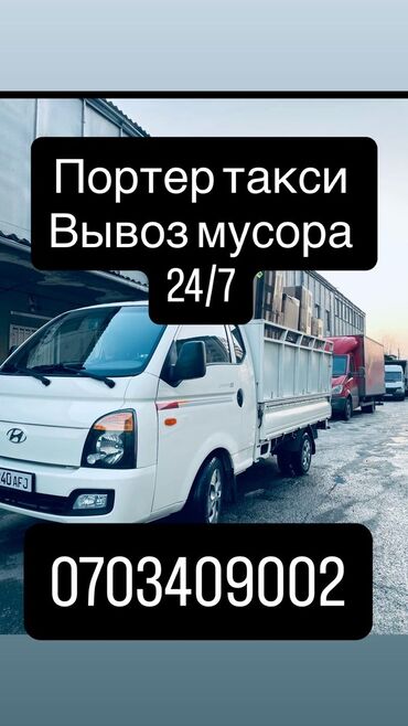 серебристая шиншила: Вывоз мусора Вывоз мусора Вывоз мусора Вывоз мусора Вывоз мусора Вывоз