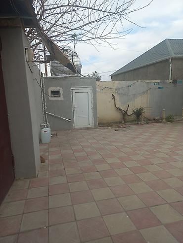 Xalçalar: Xalça Kredit yoxdur — 25