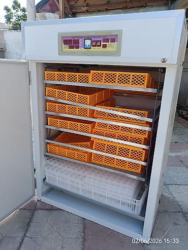 generator ev ucun: 1156 yumurtali inqubator. Avtomatik çevirme temperatur. Təzədir — 2