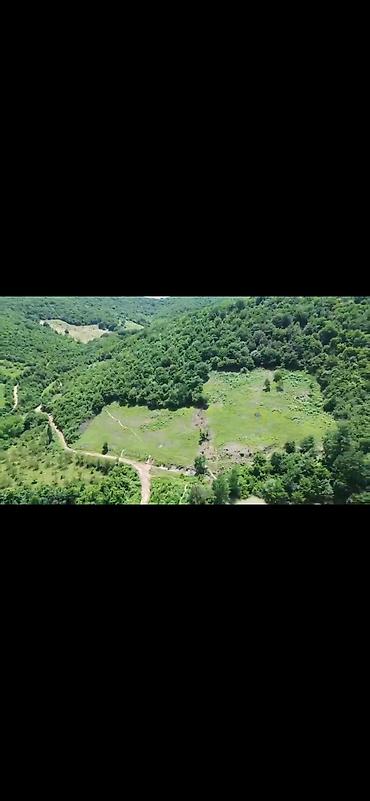 xirdalanda kiraye evleri: 124 sot, Kupça (Çıxarış) — 7