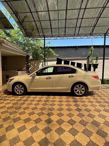 партроники: Honda Accord: 2008 г., 3.5 л, Автомат, Бензин, Седан — 3