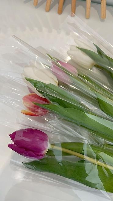 Букеты из живых цветов: Тюльпаны — стильные букеты и одиночные стебли - Разновидности — 3