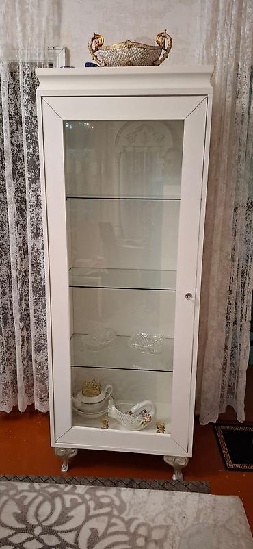 Dolablar: Qonaq otagi ucun dolab satilir. Ela veziyetdedir hec bir sinigi qirigi — 4