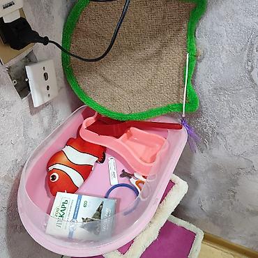 baliq yemi: Pişik üçün künc tipli oyun və istirahət dəsti - Altlıq: altıguşəli — 1