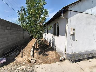 ново николаевка дом: 🏡 Продается уютный дом с участком в Ново-Павловке! 📍 Ленинский район — 8