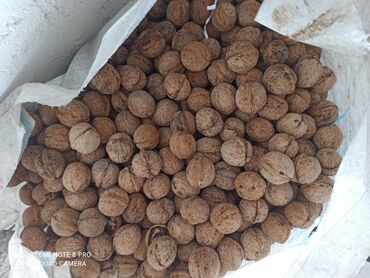 Продукты питания: Продаю греческие орехи 50 сом за 1 кг