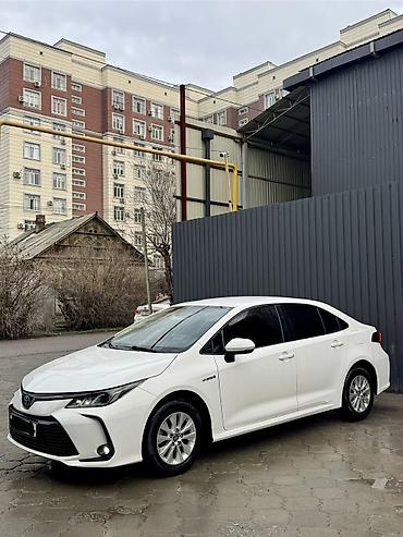 byd e6: Toyota Corolla: 2019 г., 1.8 л, Вариатор, Гибрид, Седан — 6