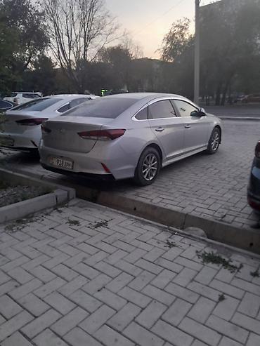 субару легаси 2014: Hyundai Sonata: 2019 г., 2 л, Автомат, Бензин, Седан — 4