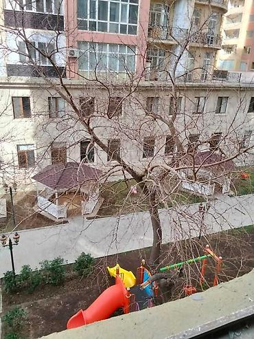 sagan kirayə evlər: 8-ci mikrorayon, 2 otaqlı, Yeni tikili, m. Azadlıq Prospekti, 82 kv. m — 4