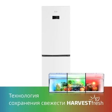 Холодильники: Холодильник Beko, Новый, Двухкамерный, No frost, 60 * 186 * 65, С рассрочкой