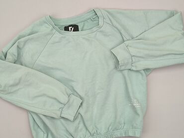 koszula na bluze: Sweatshirt, 13 years, 152-158 cm, condition - Good