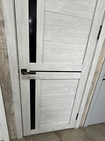 двери в комнату: Межкомнатная дверь The Doors - Тип: распашная, глухая с вертикальной — 1