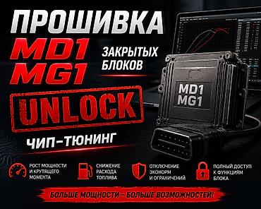 cdi 270: Прошивка и разблокировка закрытых ЭБУ MD1/MG1 (чип‑тюнинг) - Unlock — 1