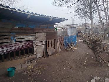 ик дом: Продается частный дом с участком и въездом через распашные — 8