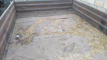 Lapetlər: Kənd təsərrüfatı və yük daşıma üçün ikioxlu traktor qoşqusu - — 5