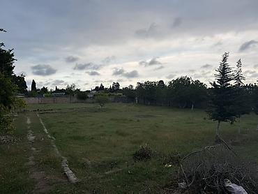 Torpaq: 17 sot, Tikinti, Kupça (Çıxarış) — 3