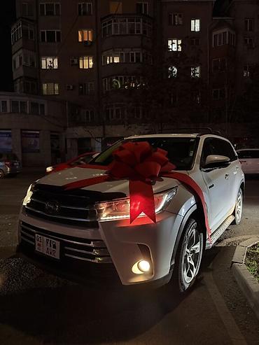 Декоративные ленты и банты: Большой декоративный бант для автомобиля - Яркий красный цвет — 1