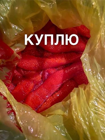 Икра: Куплю икру форелевую в ястыках. Ищу свежие или охлаждённые ястыки — 1