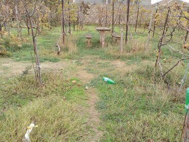 Torpaq sahələrinin satışı: 3 sot, Tikinti, Kupça (Çıxarış) — 9