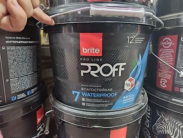 матовая: Краска акриловая влагостойкая Brite Pro Line PROFF, интерьерная — 2
