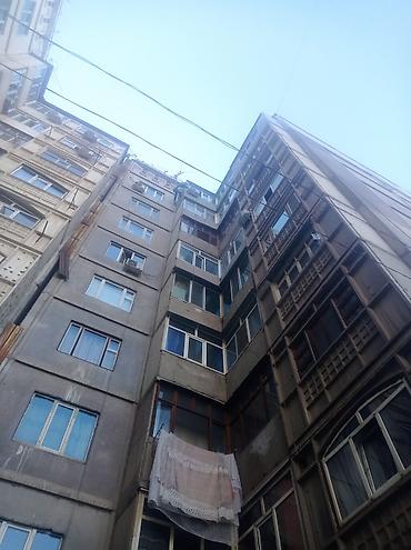 high experience: Промышленный альпинизм, Сварочные работы на высоте, Высотный клининг Больше 6 лет опыта — 5