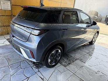 черепашка диска: BYD Dolphin: 2025 г., Электромобиль, Хэтчбэк — 8