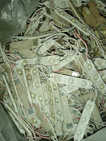 отдам даром животных бишкек: Отдам за 1-кило банана LCD диодные лампы для авто на 12ватт. Все
