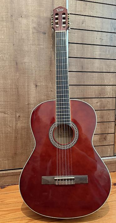 Gitaralar: Klassik akustik gitara – 6 simli, nylon simlər üçün nəzərdə tutulmuş — 1