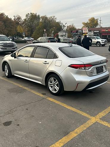 гибриды машины: Toyota Levin: 2020 г., 1.8 л, Автомат, Гибрид, Седан — 4