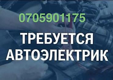 автоелектрик робота: В автосервис требуется автоэлектрик! Опытный! Ремонт стартеров, замена — 1