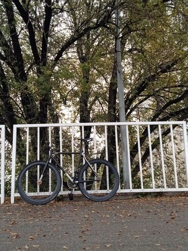 велосипед с фиксированной передачей: Городской велосипед, Рама M (156 - 178 см)