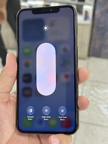 apple studio: IPhone 11 Pro Max, Б/у, 256 ГБ, Золотой, Защитное стекло, Чехол, В рассрочку, 100 % — 5