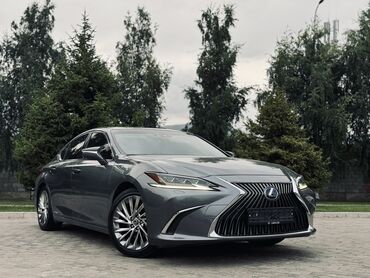 люк машины: Lexus ES: 2019 г., 2.5 л, Типтроник, Гибрид, Седан