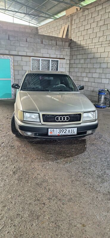 Audi: Audi 100: 1991 г., 2.8 л, Механика, Бензин