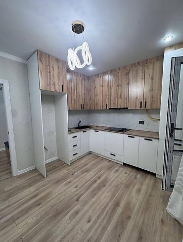 69: 1 комната, 43 м², Технопарк Элитка, 5 этаж, Евроремонт — 4