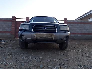 Subaru: Subaru Forester: 2005 г., 2 л, Автомат, Газ, Универсал — 4