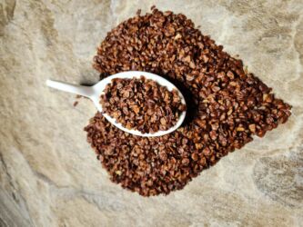 Toxumlar: Thuja toxumları, sərv, Arizona sərv, mavi thuja, qərb thuja və şərq — 10