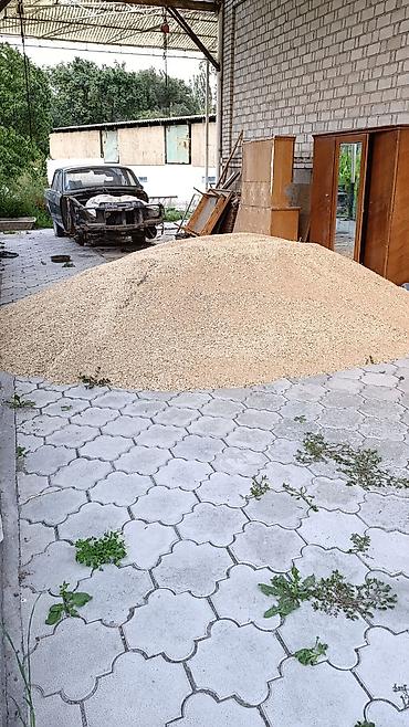 индюк яйца: Продаю пшеницу из-под комбайна. Буудай сатылат. 1,5 тонна — 1
