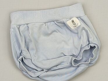 Shorts: Shorts, So cute, 9-12 months, condition - Good
