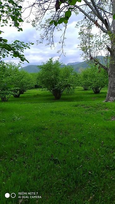 tecili satilan ucuz evler 2025: 6 otaqlı, 450 kv. m, Kredit yoxdur, Orta təmir — 9
