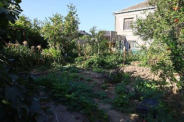 Həyət evləri və villaların satışı: 6 otaqlı, 300 kv. m, Orta təmir — 11
