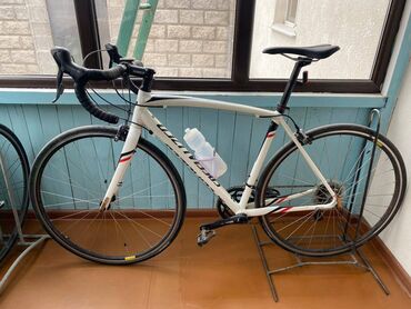 рама велосипед: Бренд Spesialized Рама алюминий, вилка карбон, навеска Sora . Цена 55