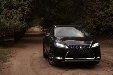 сиденья некся: Lexus RX: 2019 г., 3.5 л, Вариатор, Гибрид, Кроссовер