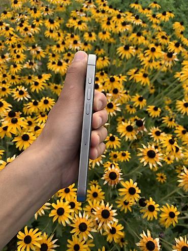 iphone 11 pro graphite: IPhone 15 pro 256гб Привозной Зарегистрирован Состояние — 5