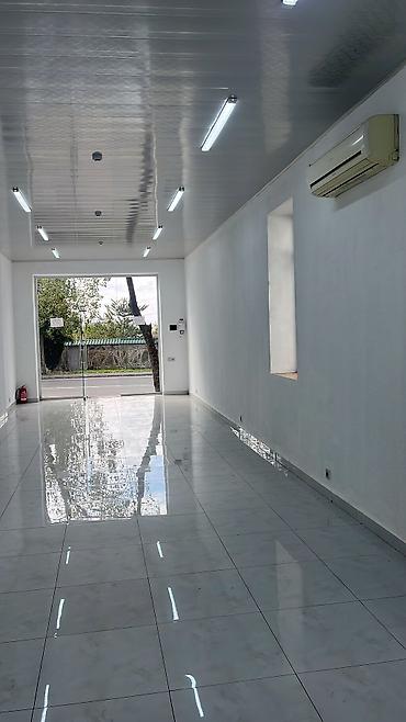 ferma is elanlari: Qəbələdə obyekt icarəyə verilir — 3
