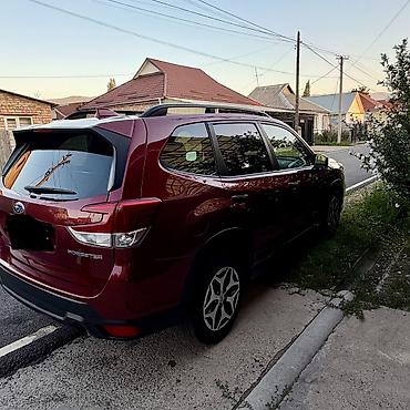 Subaru: Subaru Forester: 2021 г., 2.5 л, Вариатор, Бензин, Кроссовер — 3