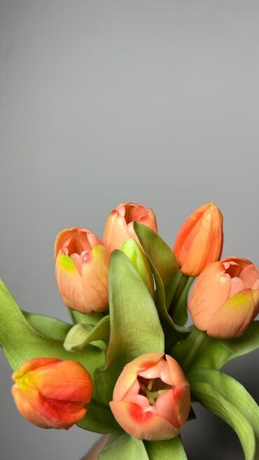 Süni güllər: Məhsul: Tülpan gulleri - Rənglər: Şaftalı-narıncı və ağ tonlarda — 1