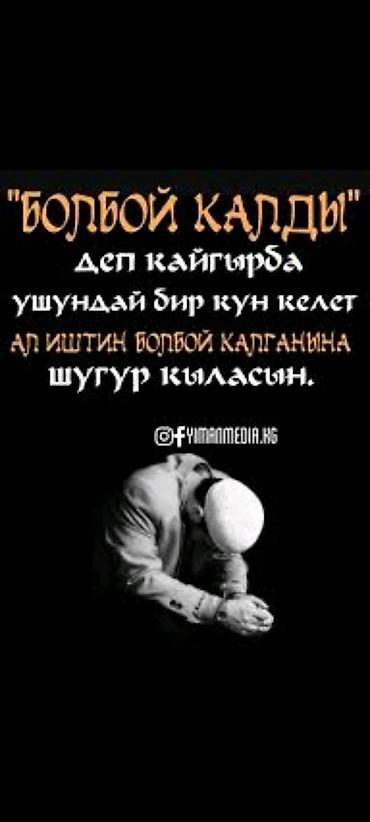Кладка: Профессиональные услуги по строительству и ремонту Что выполняем: - — 4