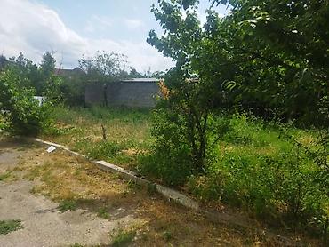 участок дома: 12 соток — 5