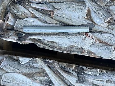 купить суш: 🐟 ПРОДАЁМ РЫБУ — МИНТАЙ ОТ 30 СМ! ❄️ ✅ Крупная рыба ✅ Замороженный — 5